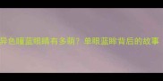 边境牧羊犬异色瞳蓝眼睛有多萌单眼蓝眸背后的故事附护理指南