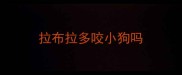 拉布拉多咬小狗吗