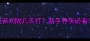 狗狗疫苗和狂犬疫苗间隔几天打新手养狗必看3步避开疫苗误区