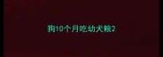 狗10个月吃幼犬粮