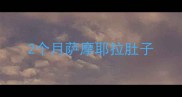 2个月萨摩耶拉肚子
