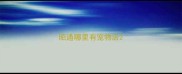 昭通哪里有宠物店