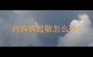 对狗狗过敏怎么办