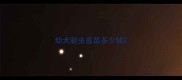 幼犬驱虫疫苗多少钱
