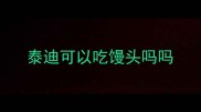 泰迪可以吃馒头吗吗