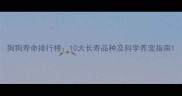 狗狗寿命排行榜10大长寿品种及科学养宠指南