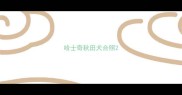 哈士奇秋田犬合照