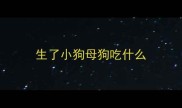 生了小狗母狗吃什么