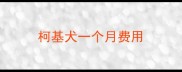 柯基犬一个月费用