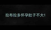 拉布拉多怀孕肚子不大