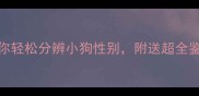 新手必看3分钟教你轻松分辨小狗性别附送超全鉴别指南附视频
