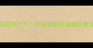 猫咪空运后出现异常行为权威运输后健康隐患及科学应对指南