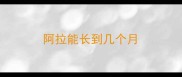 阿拉能长到几个月