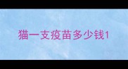 猫一支疫苗多少钱
