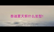 泰迪夏天剪什么发型