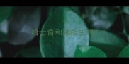 哈士奇和狼能生吗