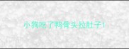 小狗吃了鸭骨头拉肚子