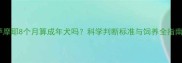 萨摩耶8个月算成年犬吗科学判断标准与饲养全指南