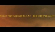 哈士奇幼犬2月龄持续咳嗽怎么办兽医详解护理与治疗指南