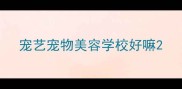 宠艺宠物美容学校好嘛