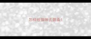 怎样给猫咪去跳蚤