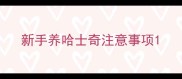 新手养哈士奇注意事项