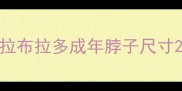 拉布拉多成年脖子尺寸