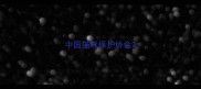 中国猫咪保护协会