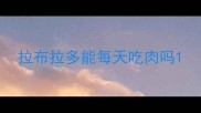 拉布拉多能每天吃肉吗