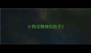 小狗没精神拉肚子
