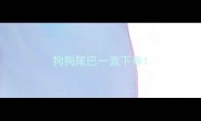 狗狗尾巴一直下垂
