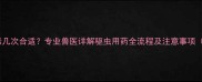 狗狗打伊维菌素几次合适专业兽医详解驱虫用药全流程及注意事项附用药指南