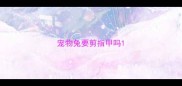 宠物兔要剪指甲吗