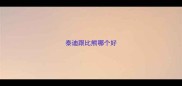 泰迪跟比熊哪个好