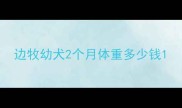 边牧幼犬2个月体重多少钱