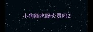 小狗能吃肠炎灵吗