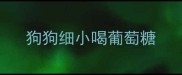 狗狗细小喝葡萄糖