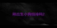 刚出生小狗怕冷吗