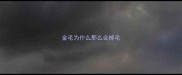 金毛为什么那么会掉毛