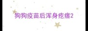 狗狗疫苗后浑身疙瘩