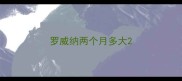 罗威纳两个月多大