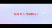 猫咪眼下对称掉毛