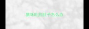 猫咪吐拉肚子怎么办