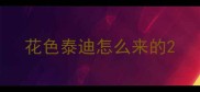 花色泰迪怎么来的
