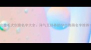 女金毛犬创意名字大全洋气又好养的10个高萌名字推荐
