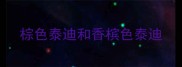 棕色泰迪和香槟色泰迪