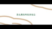 怎么教拉布拉多站立