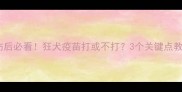 边牧幼犬抓伤后必看狂犬疫苗打或不打3个关键点教你科学应对