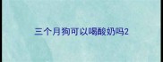 三个月狗可以喝酸奶吗