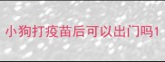 小狗打疫苗后可以出门吗